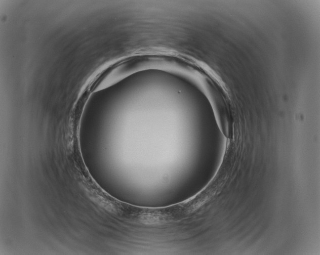 X0000086291364200703301125