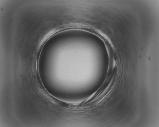 X0000086291365200703301125