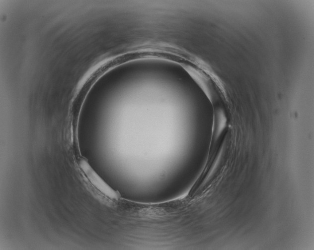 X0000086291368200703301125