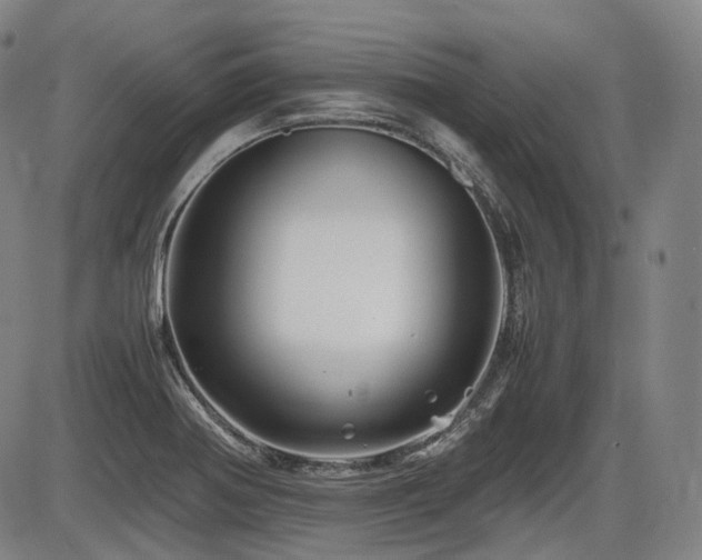 X0000086291370200703301125