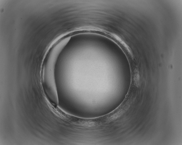 X0000086291372200703301125
