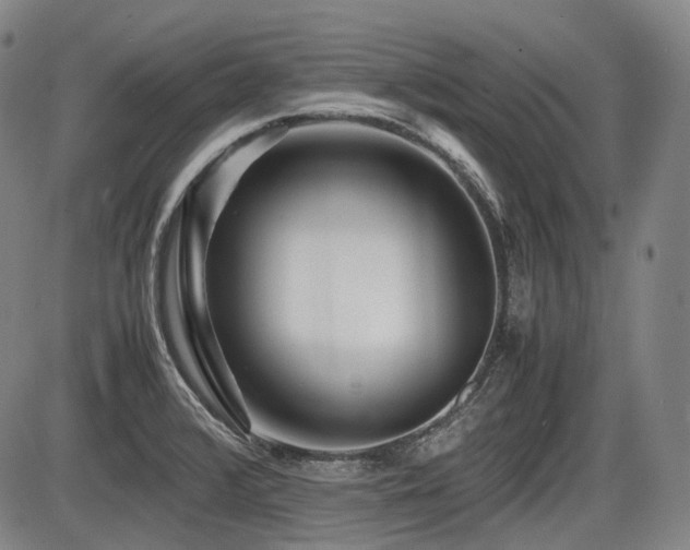 X0000086291376200703301125