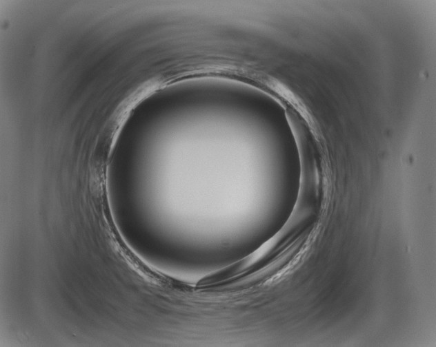X0000086291377200703301125