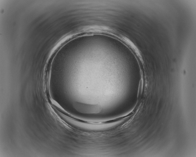 X0000086291384200703301125