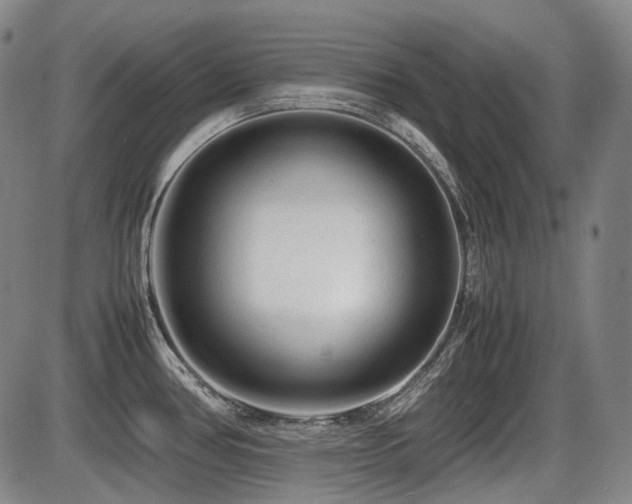 X0000086291386200703301125