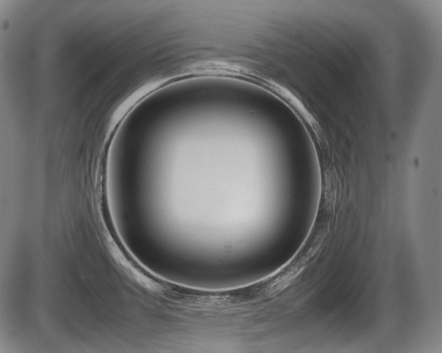 X0000086291387200703301124