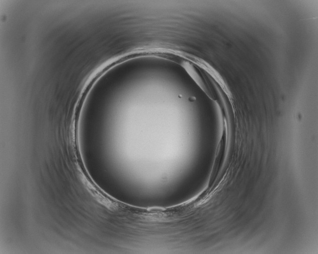 X0000086291388200703301124