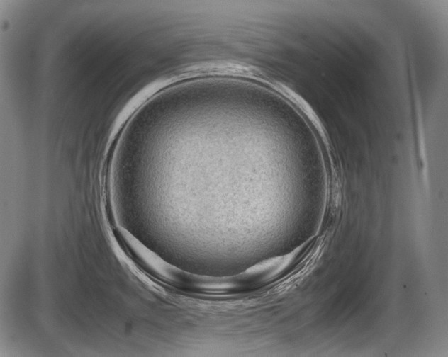 X0000086291389200703301124