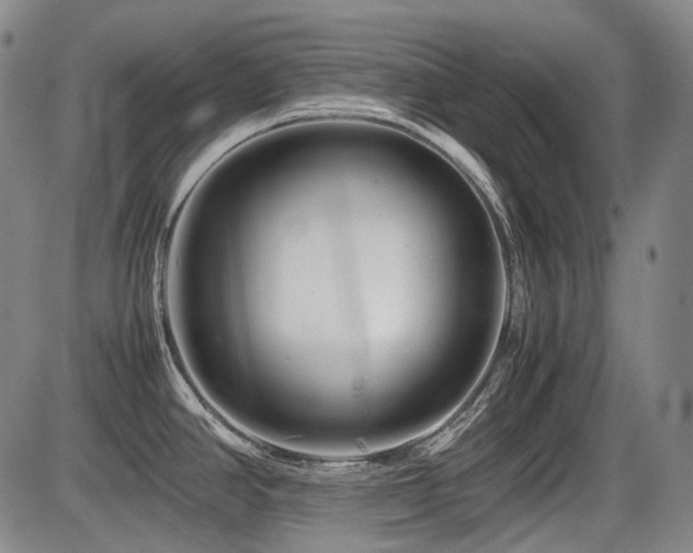 X0000086291390200703301124