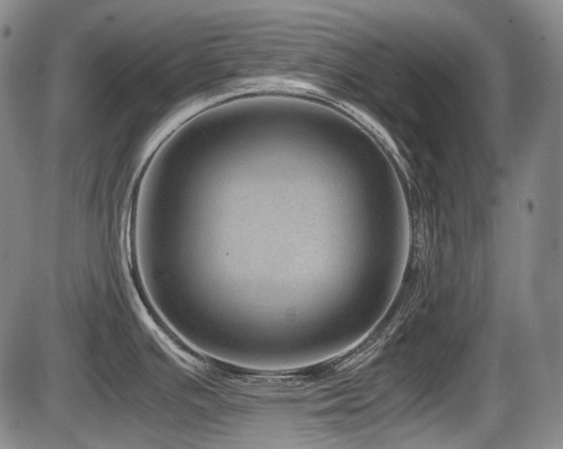 X0000086291391200703301124