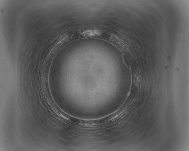 X0000086291393200703301124