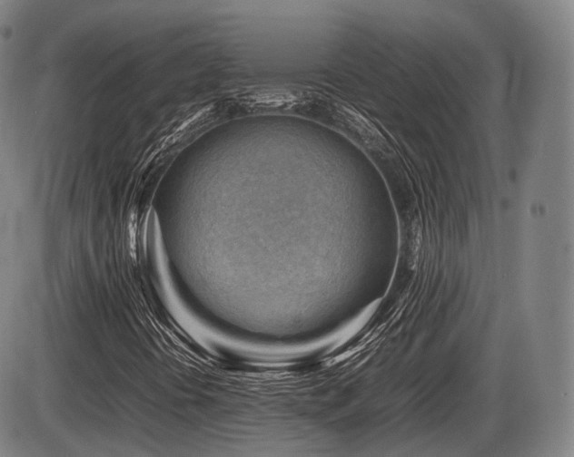 X0000086291394200703301124