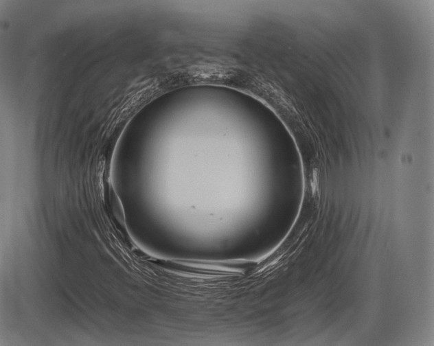 X0000086291396200703301124