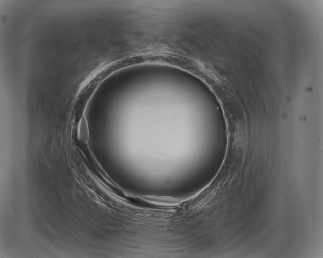 X0000086291400200703301124