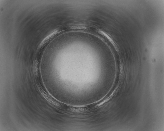X0000086291403200703301124