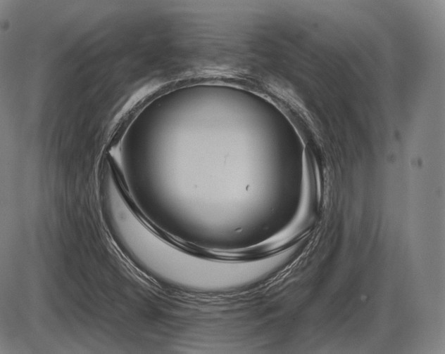 X0000086291404200703301124