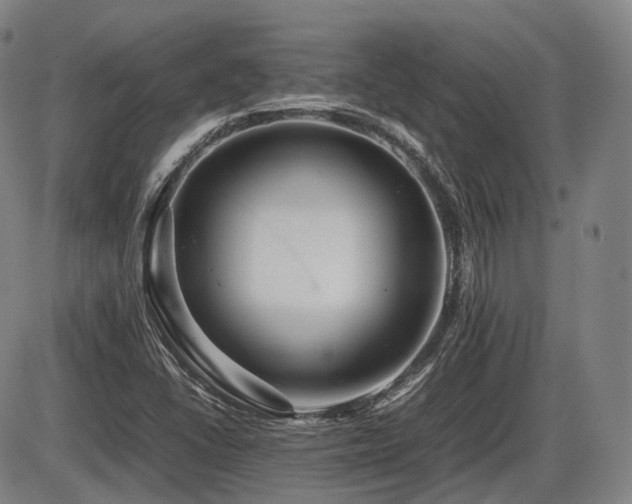 X0000086291406200703301124