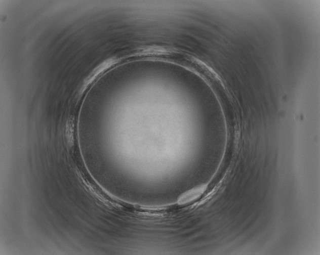 X0000086291409200703301124