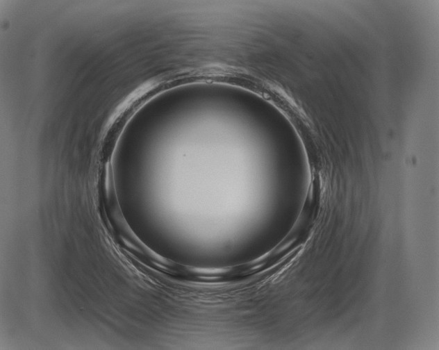 X0000086291410200703301124