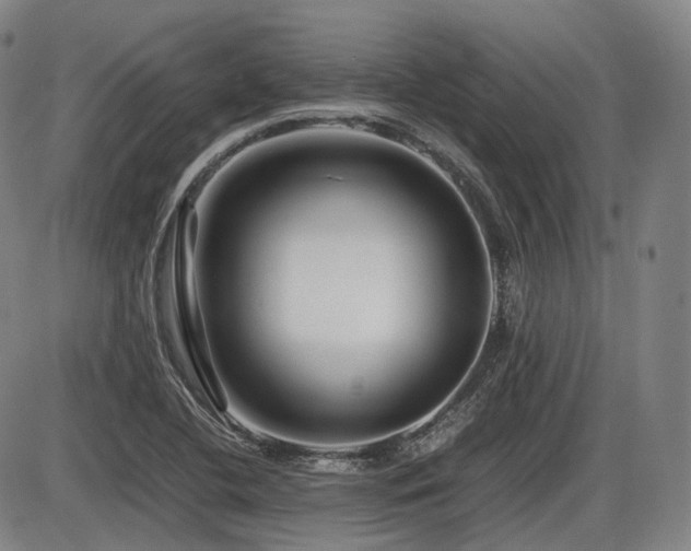 X0000086291412200703301124