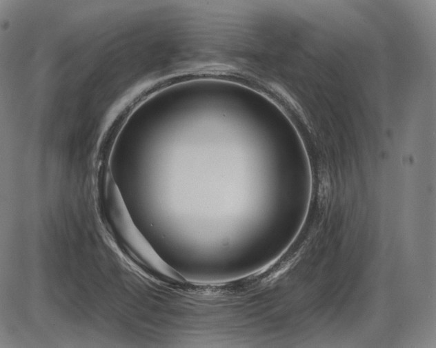 X0000086291414200703301124