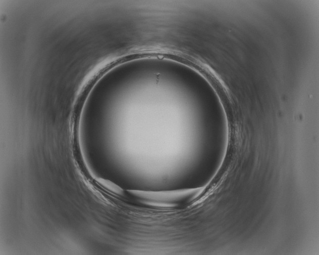 X0000086291416200703301124