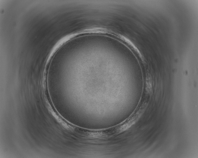 X0000086291421200703301124