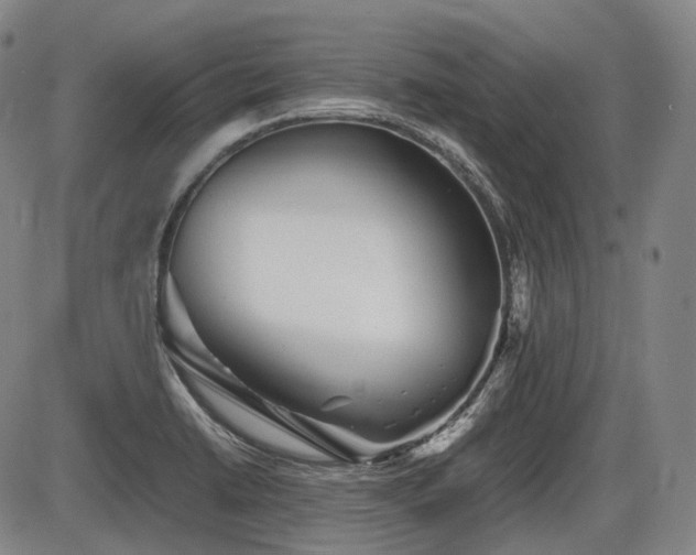 X0000086291422200703301124