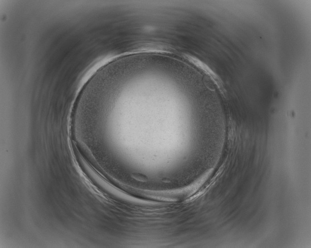X0000086291423200703301124