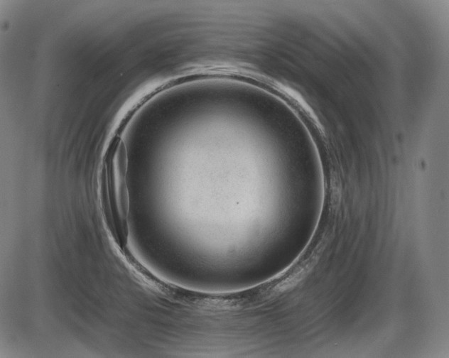 X0000086291424200703301124