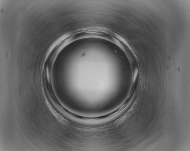 X0000086291426200703301124