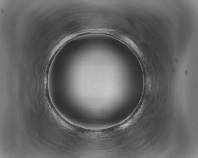 X0000086291428200703301124