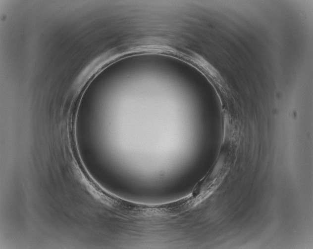 X0000086291430200703301124