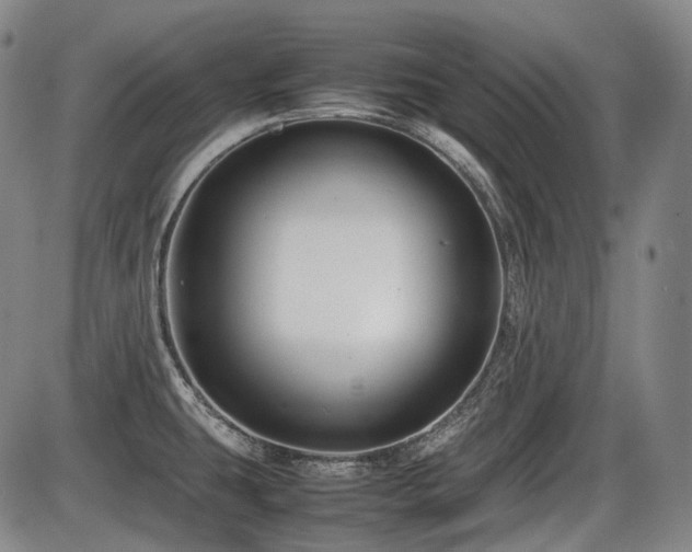 X0000086291431200703301124