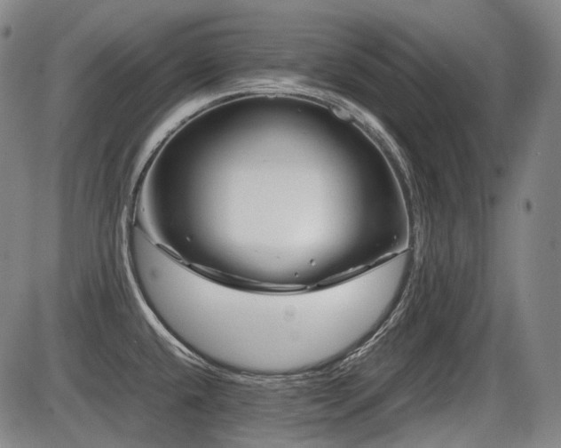 X0000086291432200703301124