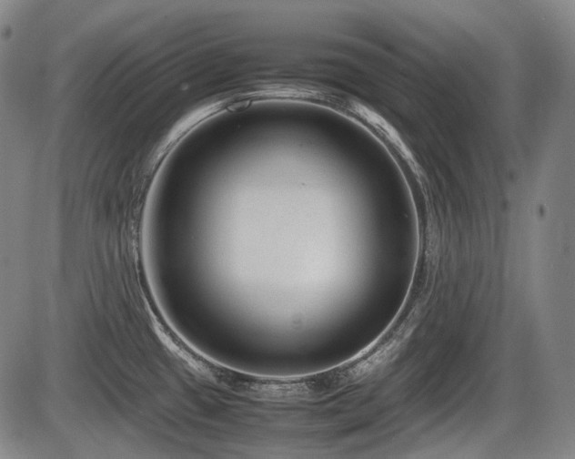 X0000086291433200703301124