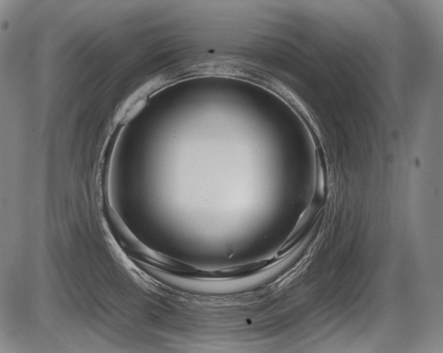 X0000086291434200703301124