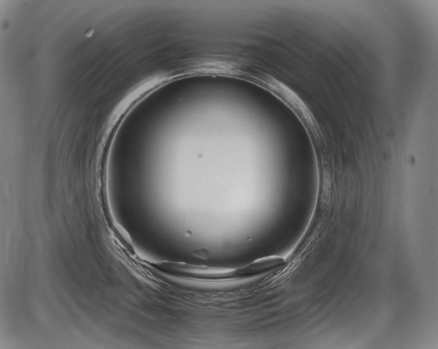 X0000086291435200703301124