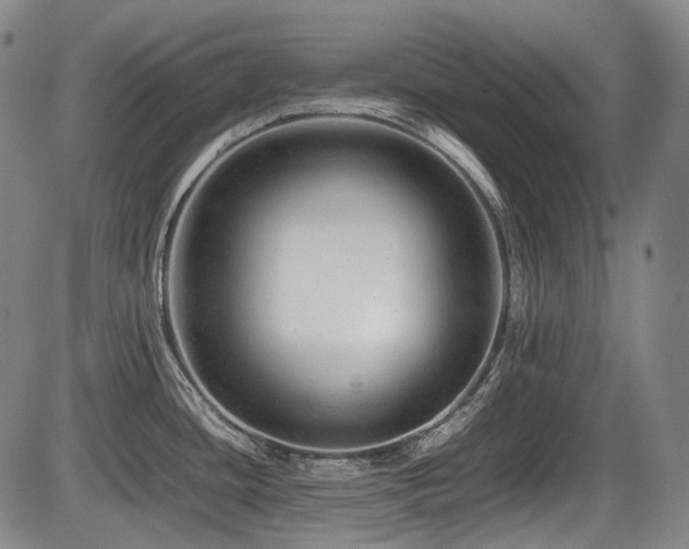 X0000086291436200703301124