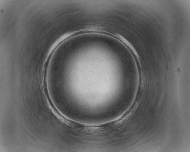 X0000086291437200703301124