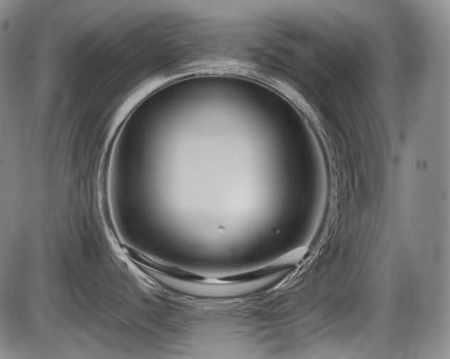 X0000086291440200703301124