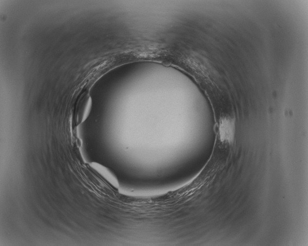 X0000086291444200703301124