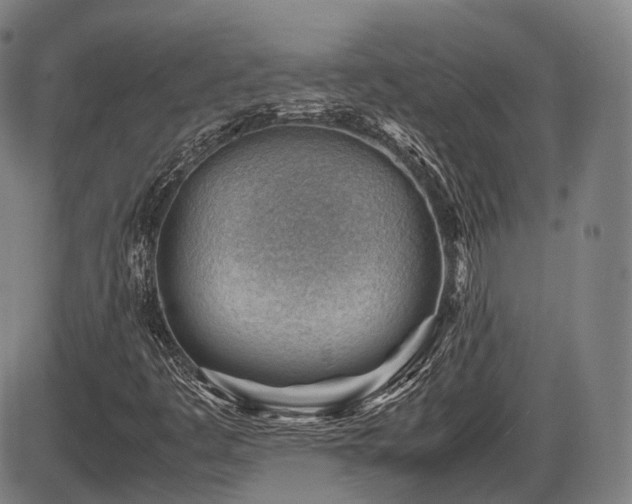X0000086291445200703301124