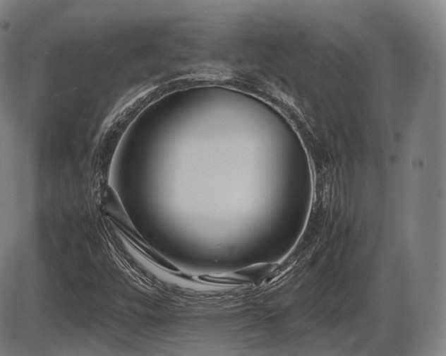 X0000086291448200703301123