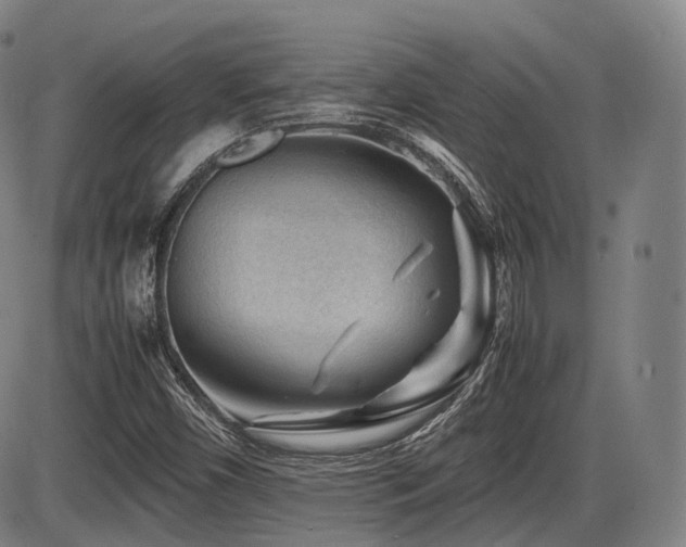 X0000086291450200703301123