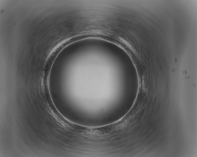 X0000086291452200703301123