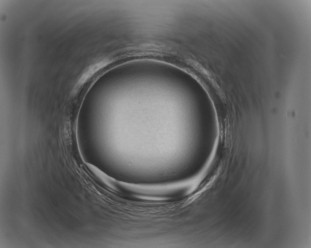 X0000086291453200703301123