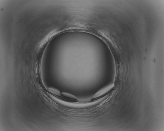 X0000086291455200703301123