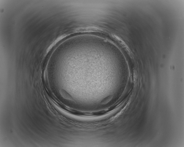 X0000086291457200703301123