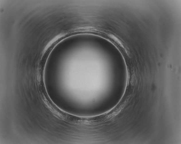 X0000086291458200703301123